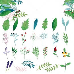小清新花草组合