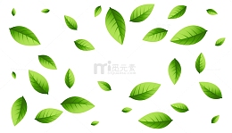 漂浮矢量元素茶叶