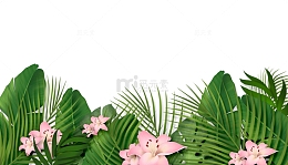 百合蕨类植物绿叶