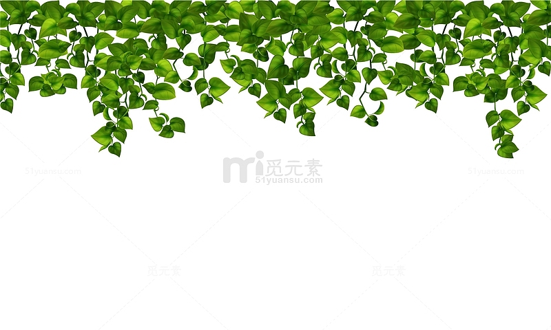 悬挂藤蔓绿萝植物