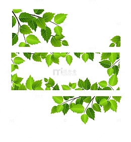 绿色植物边框