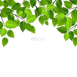 倒挂绿色树枝树叶装饰