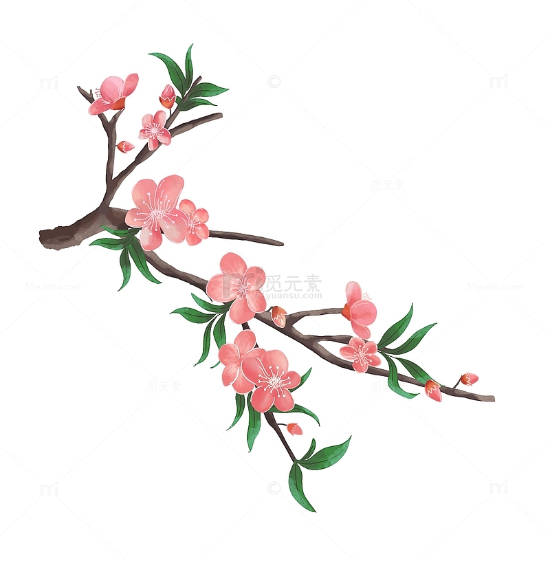 桃花手绘树枝春天卡通花朵