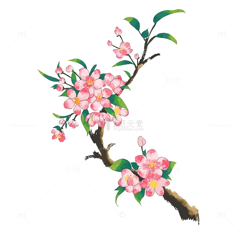 桃花鲜花手绘水墨花朵春天春季