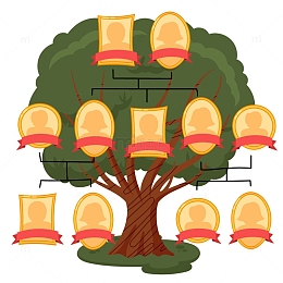 儿插家庭成员关系树状图
