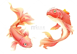 国风锦鲤国潮插画免扣素材
