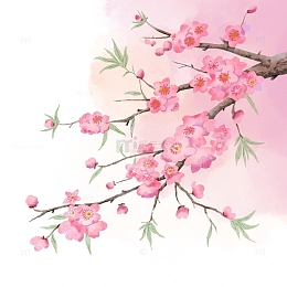 水彩桃花元素