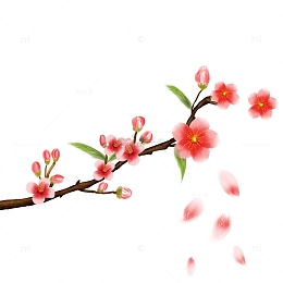 春天写实桃花开