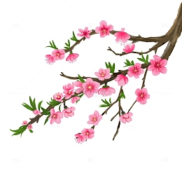 红色桃花古风