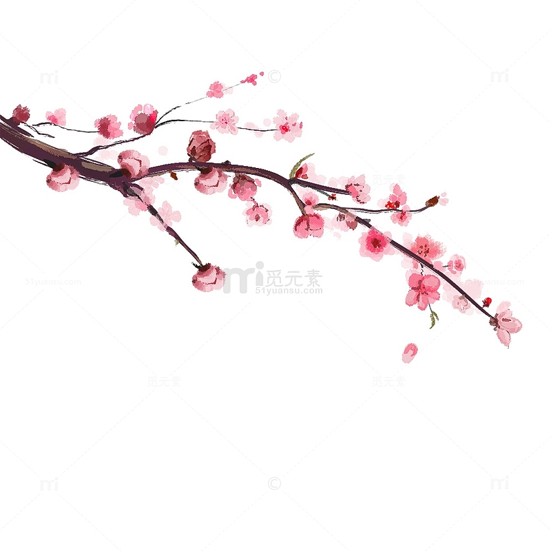 水墨桃花桃花树树枝装饰