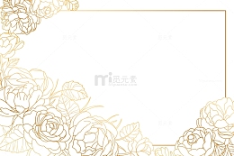 金线描边白牡丹花卉边框