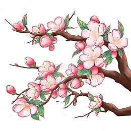 春季桃花写实风格插画元素