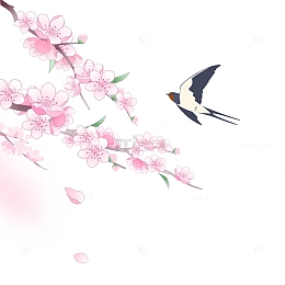 春天桃花燕子插画