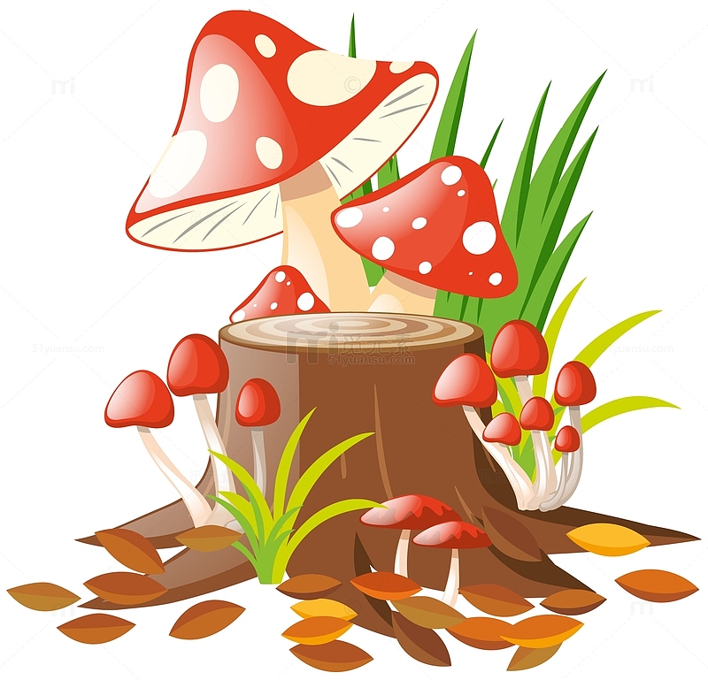 秋叶木桩小草丛蘑菇