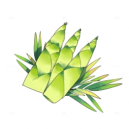 春天植物蔬菜春笋