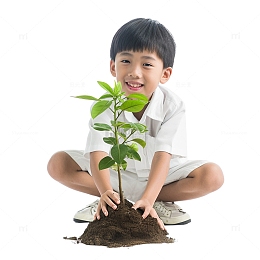 男孩在植树照片