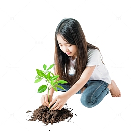 小女孩在植树