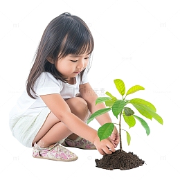 可爱的女孩在植树
