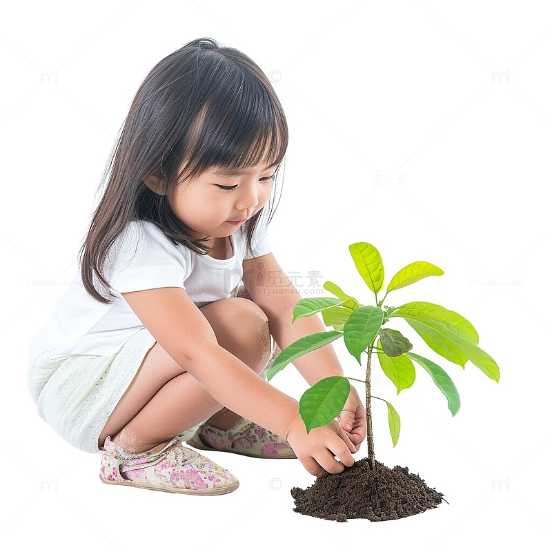 可爱的女孩在植树