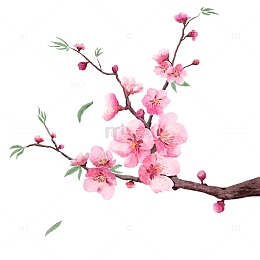 水彩桃花花卉元素