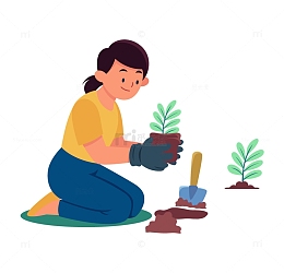 植树节种树苗女孩