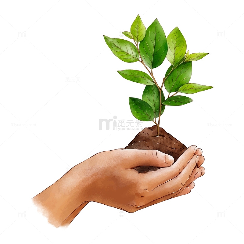 植树节绿色环保手捧植物