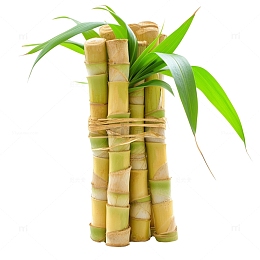 美味的甘蔗照片