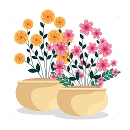 美丽的盆栽鲜花