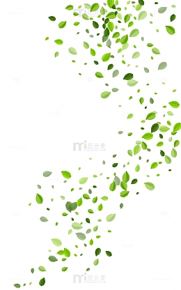 风吹树叶飘落叶