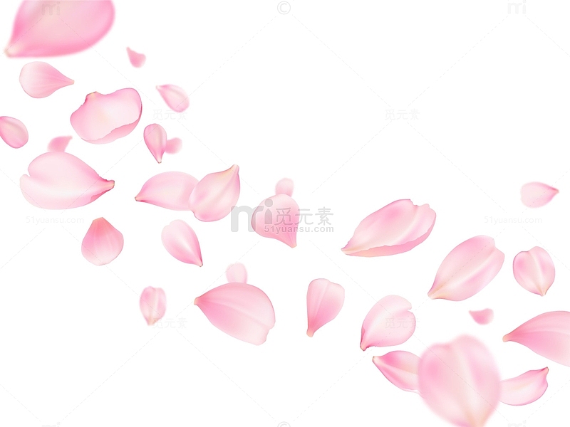 粉色玫瑰花瓣飘落