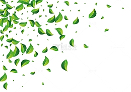 手绘绿叶矢量元素