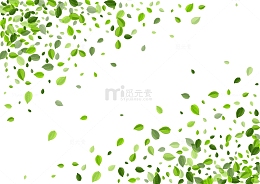 绿叶落叶绿色边框