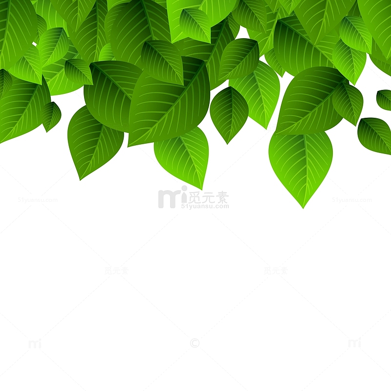 植物护肤品手绘绿叶装饰