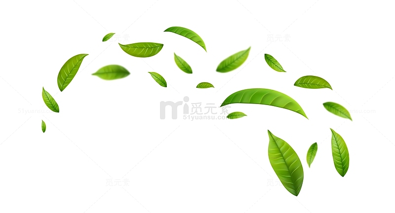 绿茶绿叶装饰元素