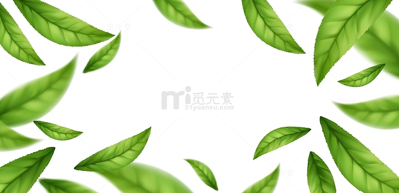 绿色茶叶清新边框装饰
