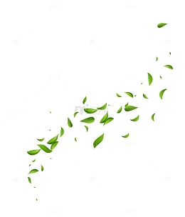 飘散飞落的茶叶绿叶
