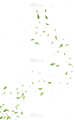 茶产品茶叶装饰元素