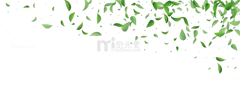 树叶植物春天装饰