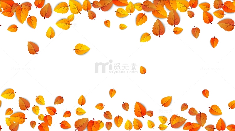 立秋树叶黄叶飘落
