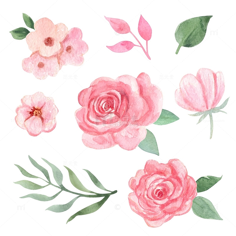 粉色水彩玫瑰花