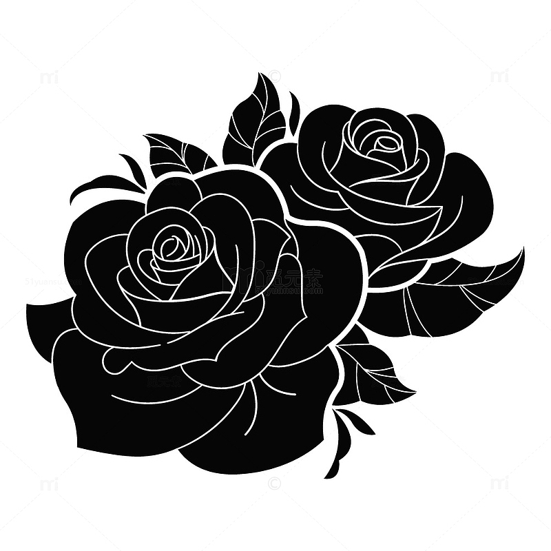 黑色暗夜玫瑰