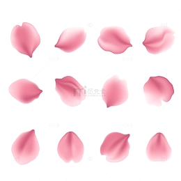 粉色玫瑰花瓣