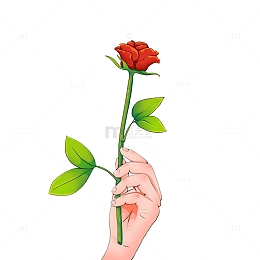 女神节花朵鲜花妇女节女王节手持花束