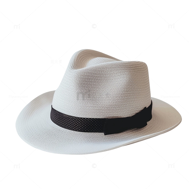 白色的礼帽帽子