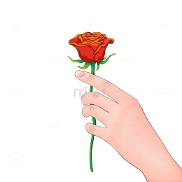 手持鲜花玫瑰手女神节妇女节