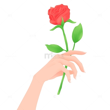 手持玫瑰花插画