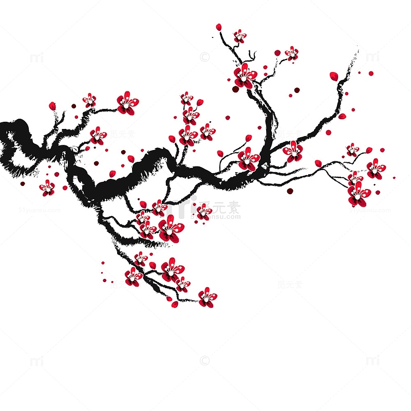 中国风梅花手绘