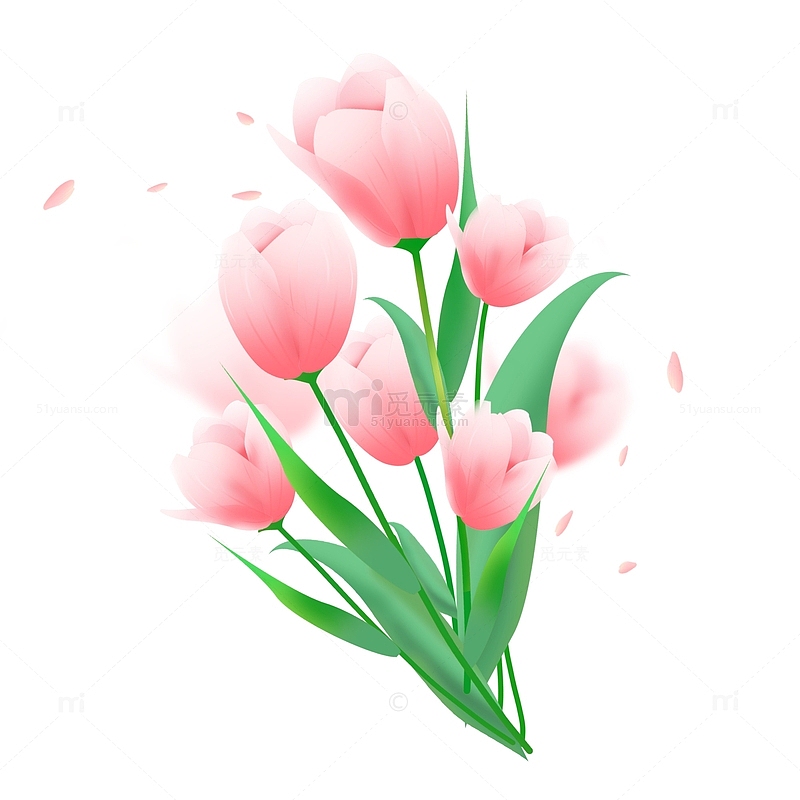 唯美浪漫春天郁金香鲜花植物节日装饰元素