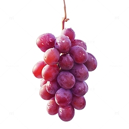一串新鲜葡萄
