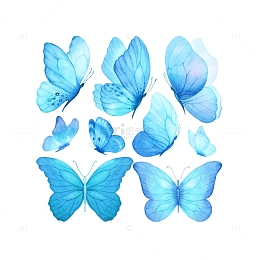 蓝色梦幻轻盈蝴蝶翅膀
